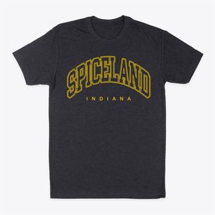 Spiceland Indiana Inline Classic Dad T-Shirt