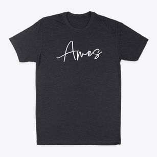 Ames Iowa Freestyle Classic Dad T-Shirt