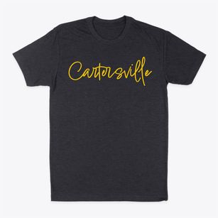 Cartersville South Carolina Freestyle Classic Dad T-Shirt