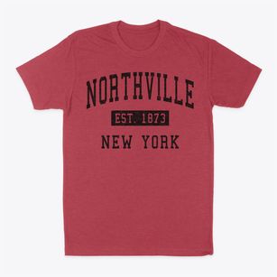 Northville New York Classic Established Classic Dad T-Shirt
