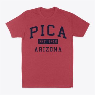 Pica Arizona Classic Established Classic Dad T-Shirt