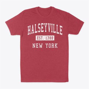 Halseyville New York Classic Established Classic Dad T-Shirt