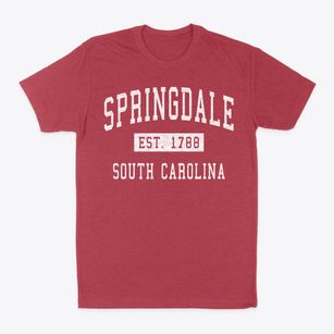 Springdale South Carolina Classic Established Classic Dad T-Shirt