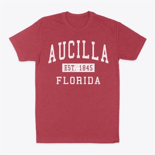 Aucilla Florida Classic Established Classic Dad T-Shirt