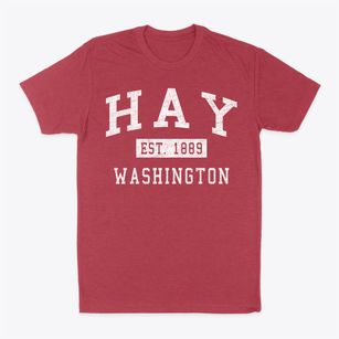 Hay Washington Classic Established Classic Dad T-Shirt