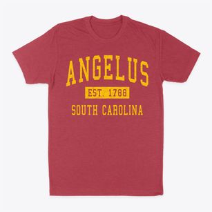 Angelus South Carolina Classic Established Classic Dad T-Shirt