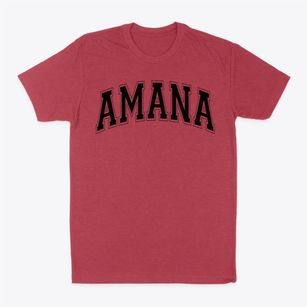 Amana Academy Varsity Arch Classic Dad T-Shirt