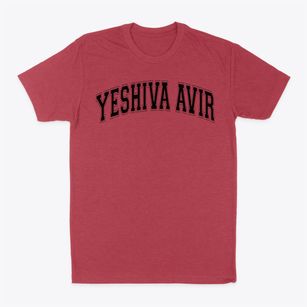 Yeshiva Avir Yakov Girls Varsity Arch Classic Dad T-Shirt