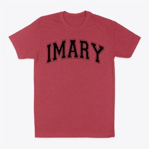 Is 394 Mary Mcleod Bethune Varsity Arch Classic Dad T-Shirt