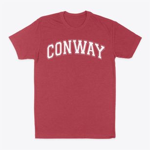 Conway Middle School Varsity Arch Classic Dad T-Shirt