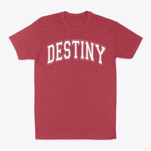 Destiny Community School Varsity Arch Classic Dad T-Shirt