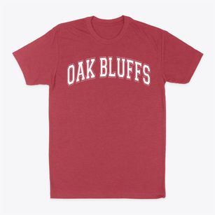Oak Bluffs School Varsity Arch Classic Dad T-Shirt