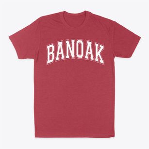 Banoak Elementary School Varsity Arch Classic Dad T-Shirt