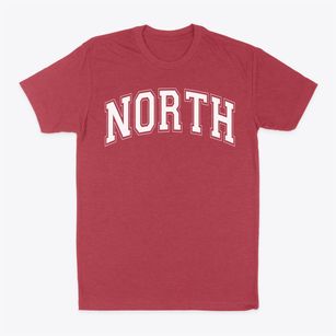 North Windy Ridge School Varsity Arch Classic Dad T-Shirt