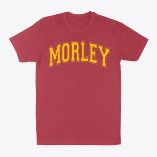Morley Elementary School Varsity Arch Classic Dad T-Shirt