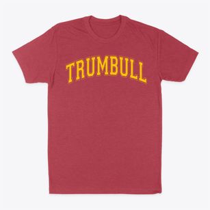 Trumbull Elementary School Varsity Arch Classic Dad T-Shirt