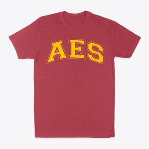Academy Of Environmental Science Varsity Arch Classic Dad T-Shirt
