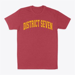 District Seven Elementary School Varsity Arch Classic Dad T-Shirt