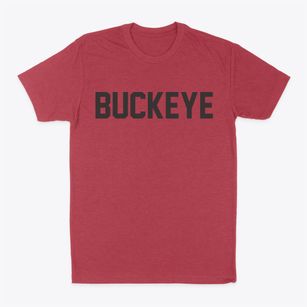 Buckeye Iowa Classic Block Classic Dad T-Shirt