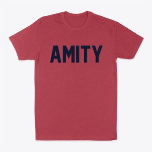 Amity Missouri Classic Block Classic Dad T-Shirt