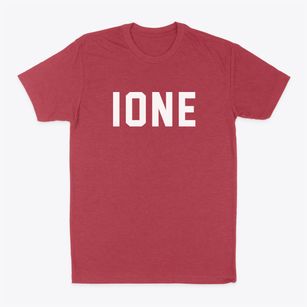 Ione Washington Classic Block Classic Dad T-Shirt