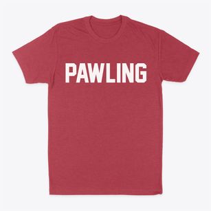 Pawling New York Classic Block Classic Dad T-Shirt