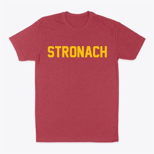 Stronach Michigan Classic Block Classic Dad T-Shirt