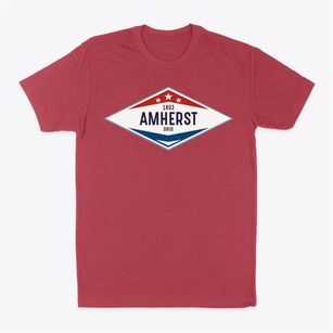 Amherst Ohio Diamond Star Classic Dad T-Shirt