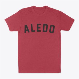 Aledo Illinois Classic Curve Classic Dad T-Shirt
