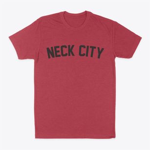 Neck City Missouri Classic Curve Classic Dad T-Shirt