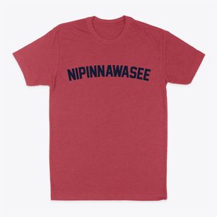 Nipinnawasee California Classic Curve Classic Dad T-Shirt