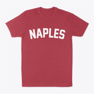 Naples New York Classic Curve Classic Dad T-Shirt