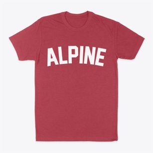 Alpine Oregon Classic Curve Classic Dad T-Shirt