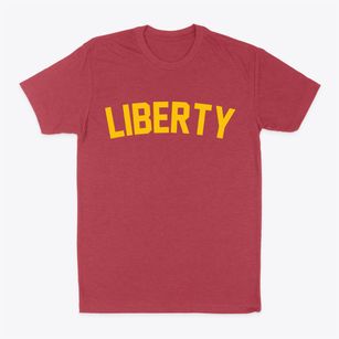 Liberty Missouri Classic Curve Classic Dad T-Shirt