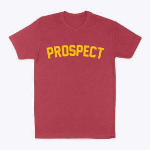 Prospect New York Classic Curve Classic Dad T-Shirt
