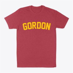Gordon Ohio Classic Curve Classic Dad T-Shirt