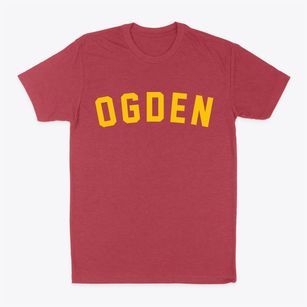 Ogden Utah Classic Curve Classic Dad T-Shirt