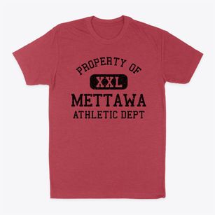 Mettawa Illinois Athletic Dept Classic Dad T-Shirt