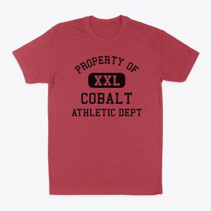Cobalt Missouri Athletic Dept Classic Dad T-Shirt