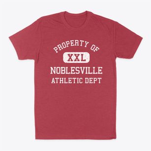 Noblesville Indiana Athletic Dept Classic Dad T-Shirt