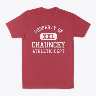 Chauncey Ohio Athletic Dept Classic Dad T-Shirt