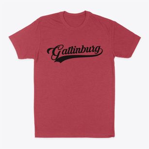 Gatlinburg Tennessee Vintage Team Classic Dad T-Shirt