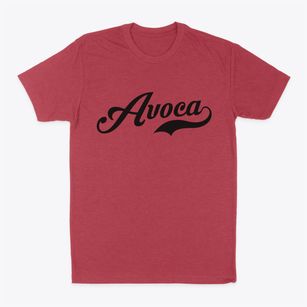 Avoca New York Vintage Team Classic Dad T-Shirt