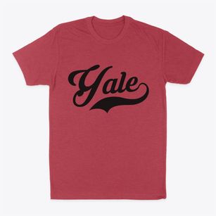 Yale Michigan Vintage Team Classic Dad T-Shirt