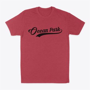 Ocean Park Washington Vintage Team Classic Dad T-Shirt