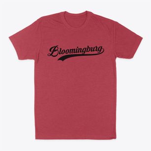 Bloomingburg New York Vintage Team Classic Dad T-Shirt