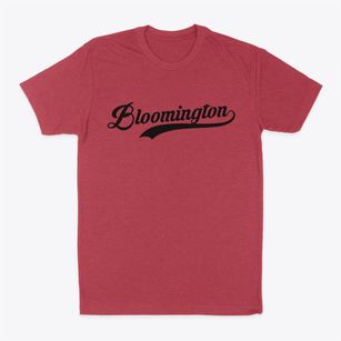 Bloomington Illinois Vintage Team Classic Dad T-Shirt