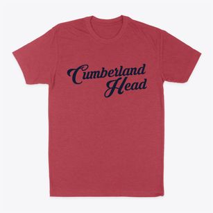 Cumberland Head New York Vintage Team Classic Dad T-Shirt