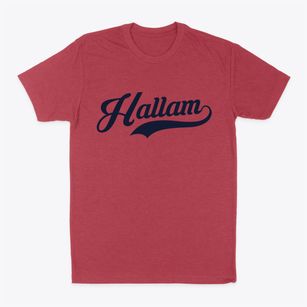 Hallam Nebraska Vintage Team Classic Dad T-Shirt