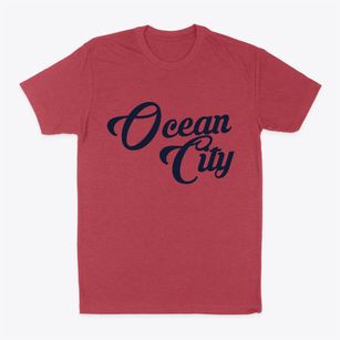 Ocean City Washington Vintage Team Classic Dad T-Shirt